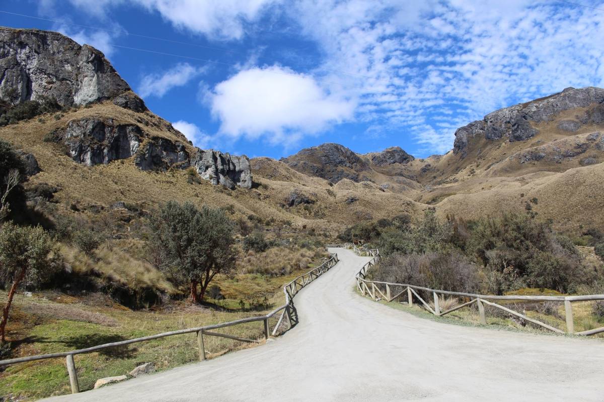 camino largo