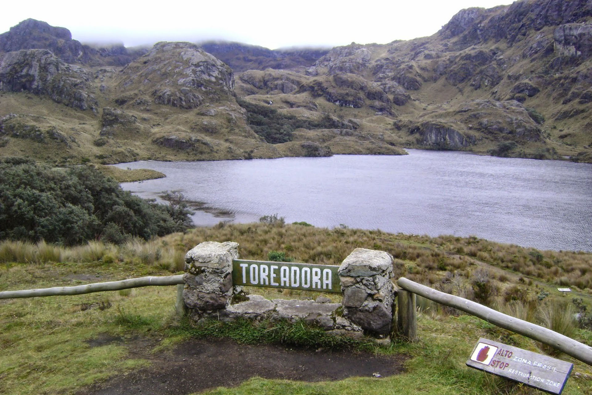 toreadora